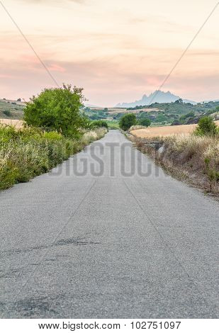 Portrait Shot Of A Lonely Country Road