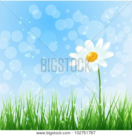 Nature background