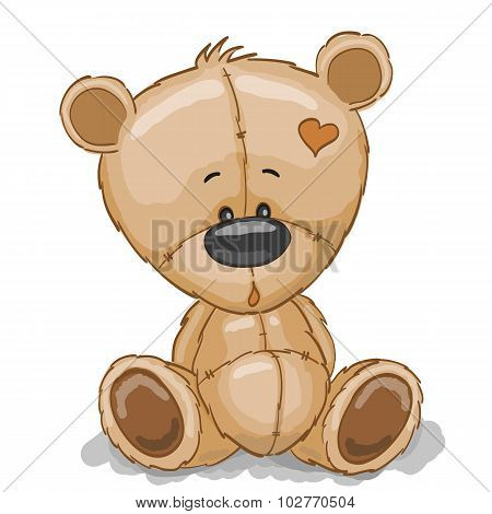 Drawing Teddy