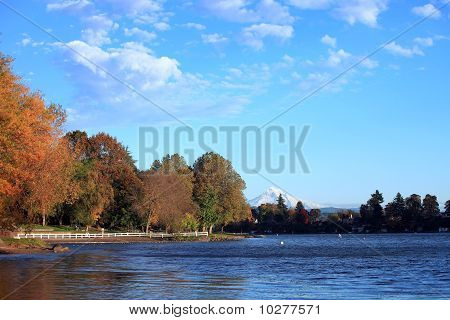 Parco del lago blu.