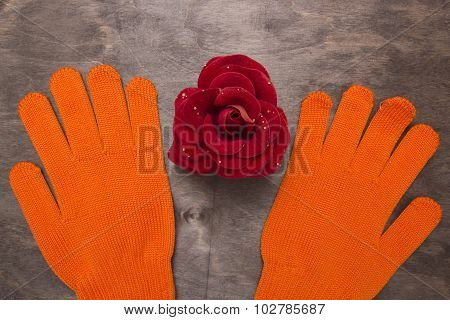 Orange Gloves