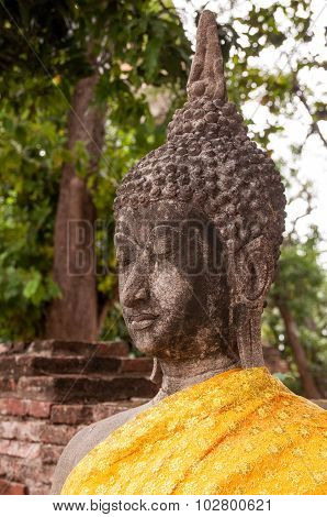 Old buddha