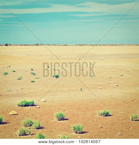 Nature Reserve