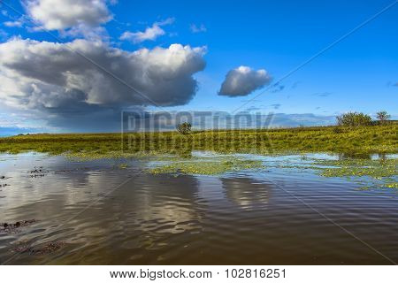 The surface of the lake.