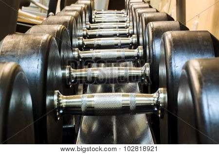 Dumbbells On Rack Background.