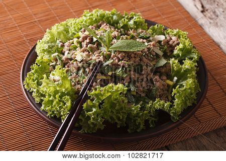 Thai Food: Laab Salad Of Minced Meat With Herbs, Horizontal