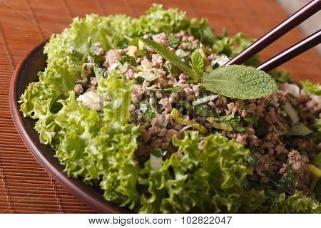 Laab Thai Salad Of Minced Meat With Herbs Close-up. Horizontal