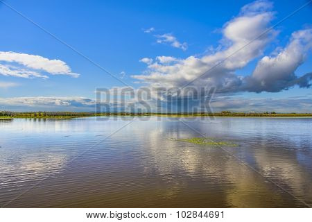 The surface of the lake.
