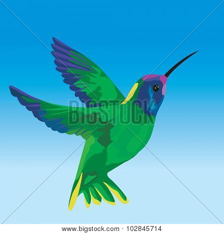Stylized humming bird flying on clear sky - Vector illustration