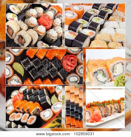 Assorted Sushi Big Collage Photo Set