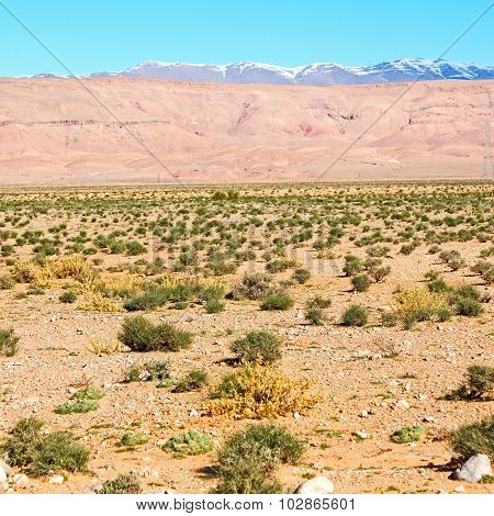 In Todra Gorge Morocco Africa And  Village