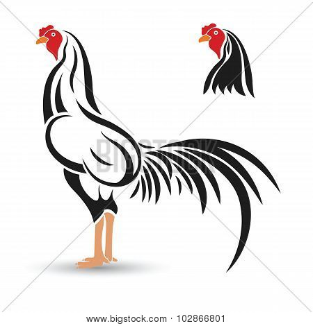 Rooster2
