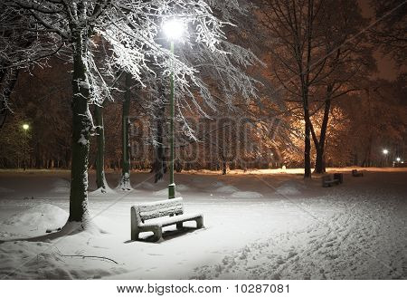 Winter Park At Night