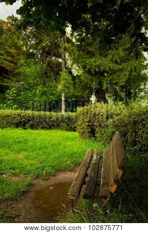 A Bench In A Park