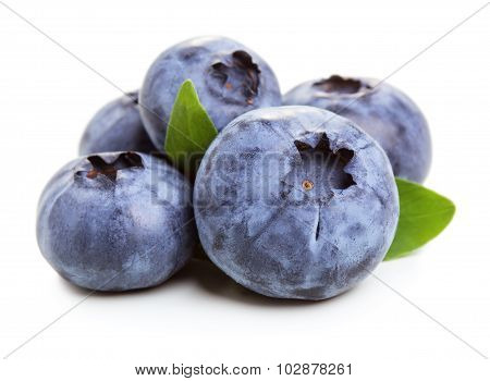 Blueberry