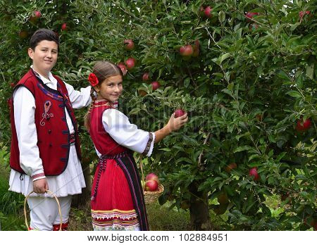Resen, Macedonia. September, 27  2015- Boy And Girl In Traditional Clothes Posing With Apples During