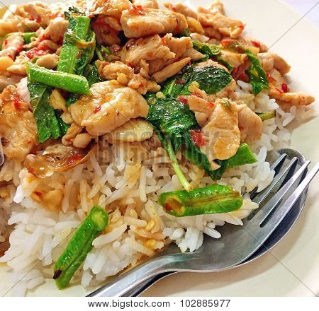 Stir-fried spicy chicken and basil