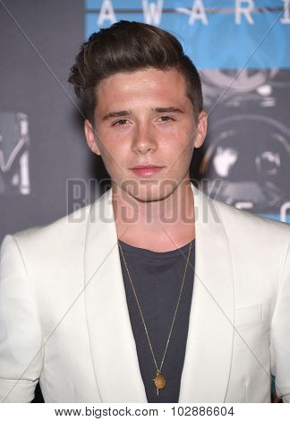 LOS ANGELES - AUG 30:  Brooklyn Beckham 2015 MTV Video Music Awards - Arrivals  on August 30, 2015 in Hollywood, CA                