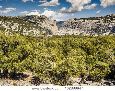 Gorropu Gorges