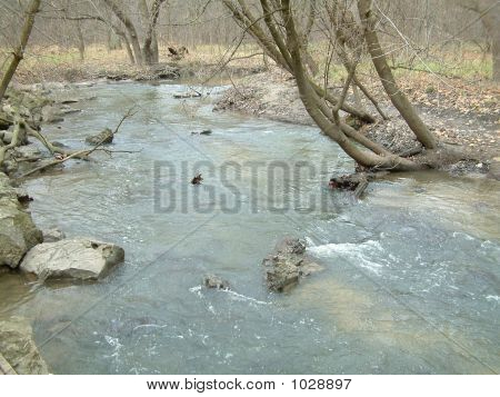 Stream