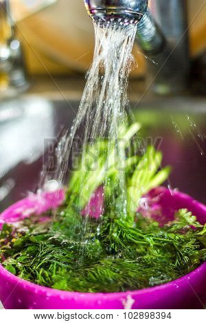 Wash The Parsley, Dill Shower, Kitchen, Dishes, Wash The Greens