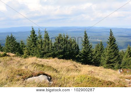 Harz National Park