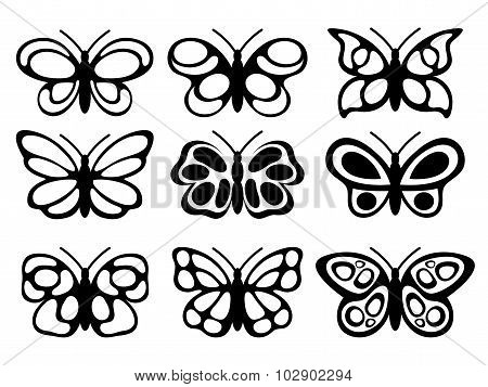 Butterflies