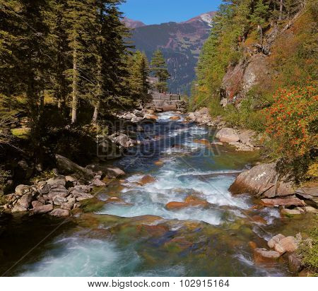 Rapid mountain stream of coniferous forests. Pastoral in the Alpine mountain valley in Austria. Cascades of cold water at the source of the famous Krimml waterfalls