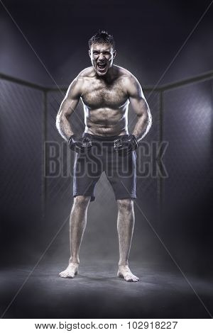 MMA fighter in cage