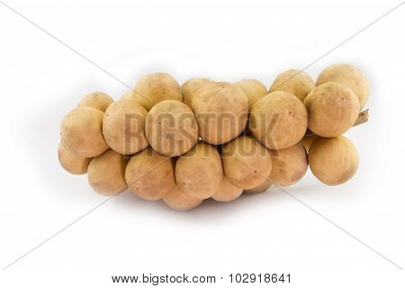 Longong Isolated On White Background