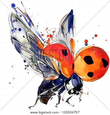 ladybird beetle T-shirt graphics, ladybird illustration with splash watercolor textured background.