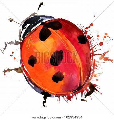 ladybird beetle T-shirt graphics, ladybird illustration with splash watercolor textured background.
