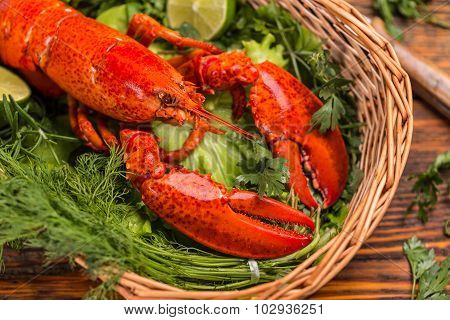 Lobster