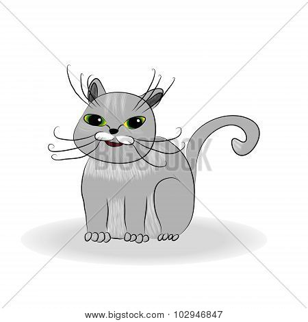 cute gray cat
