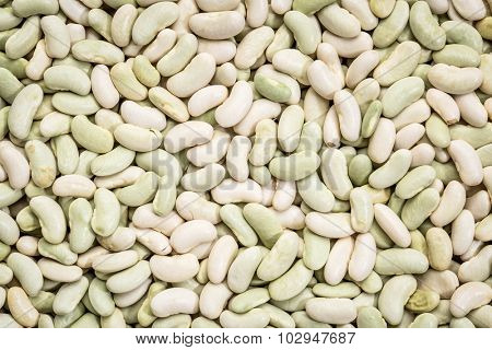 background and texture of flageolet  beans (a variety of the common bean originating from France, the flageolet is picked before full maturity and dried in the shade to retain its green color).