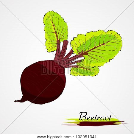 beetroot