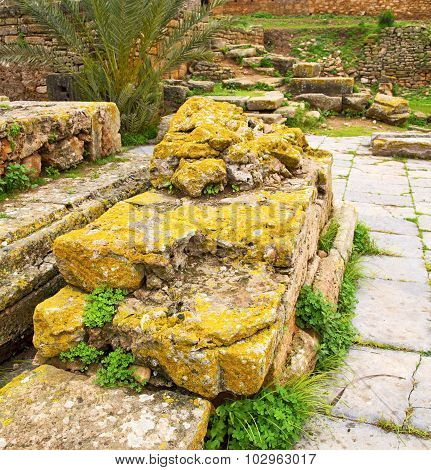 Chellah  In Morocco Africa The Old Roman Deteriorated Monument And Site