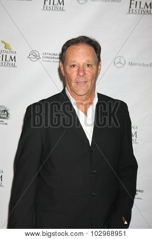 LOS ANGELES - SEP 25:  Chris Mulkey at the Catalina Film Festival Friday Evening Gala at the Avalon Theater on September 25, 2015 in Avalon, CA