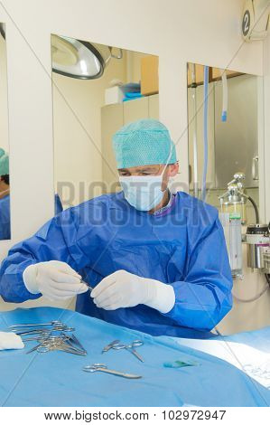Veterinarian is operating an animal in the surgery room