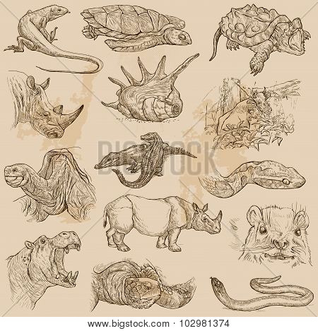 Animals - An Hand Drawn Vector Pack
