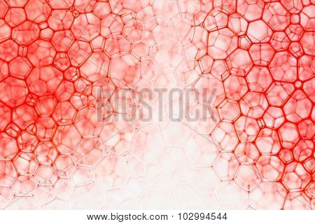 Red Ink Flows Between Bubbles