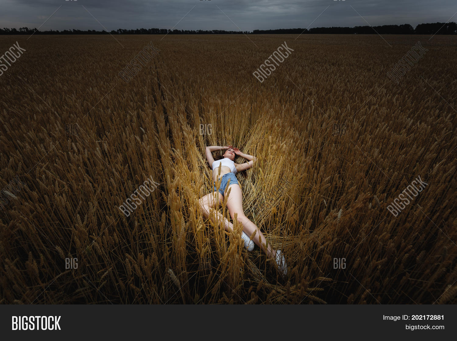 Image Preview