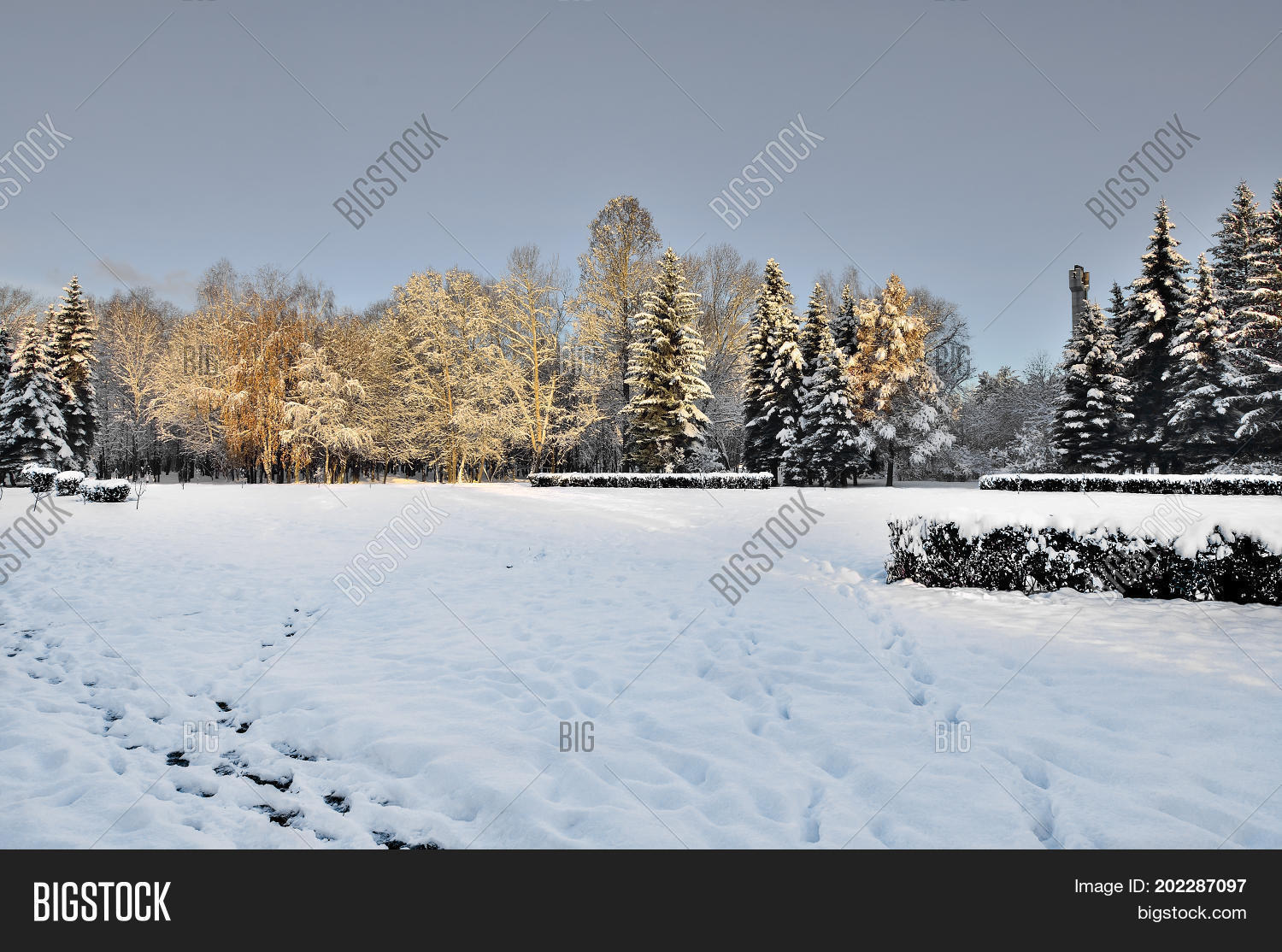 Image Preview