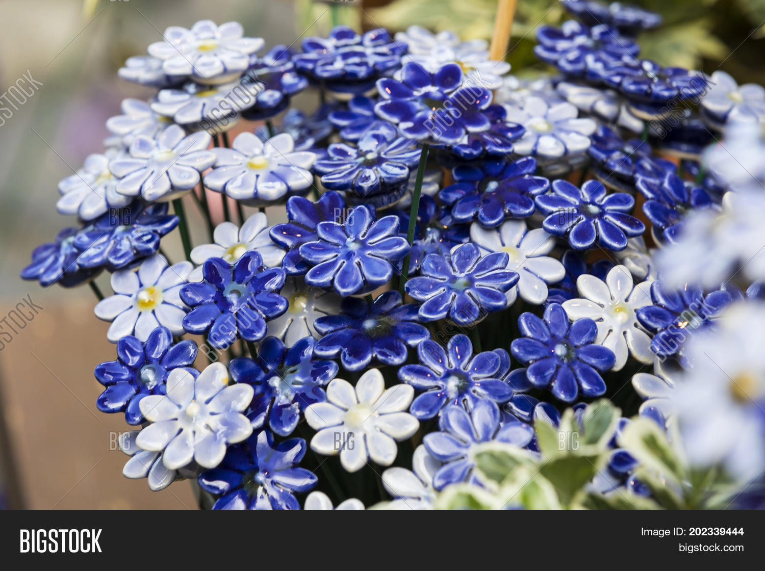 Image Preview