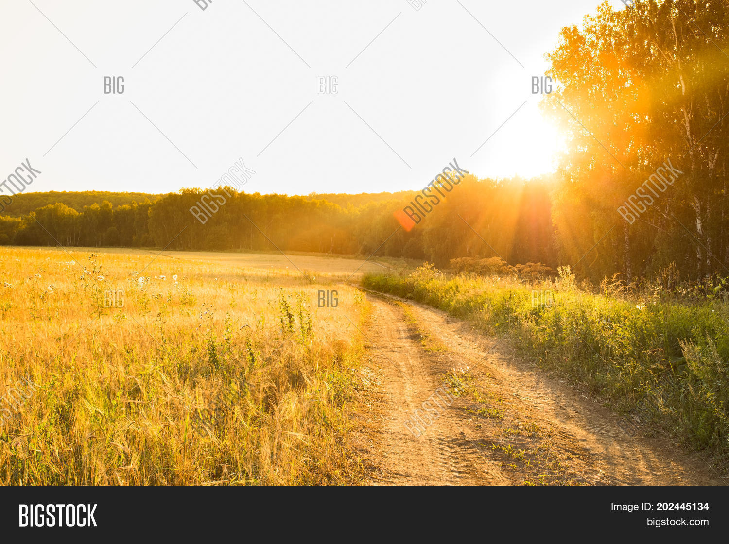 Image Preview