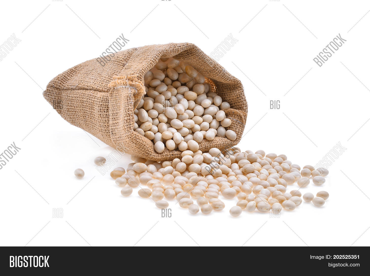 Small White Beans Image & Photo (Free Trial) Bigstock