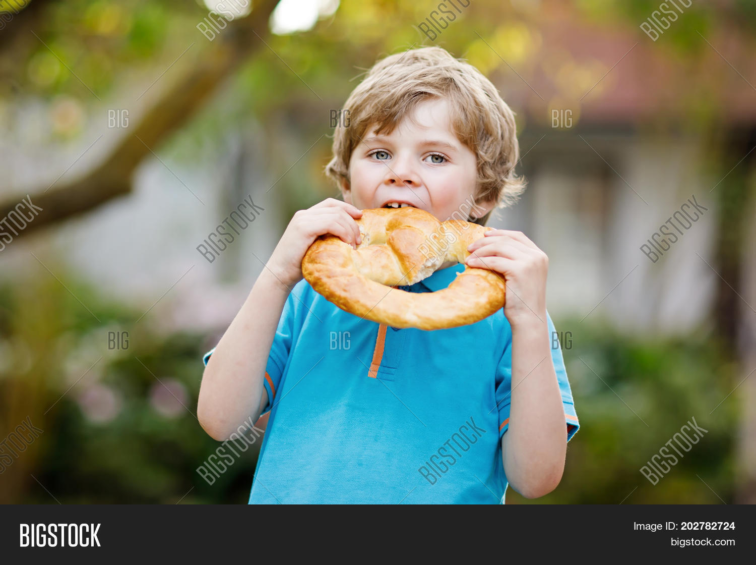 Image Preview