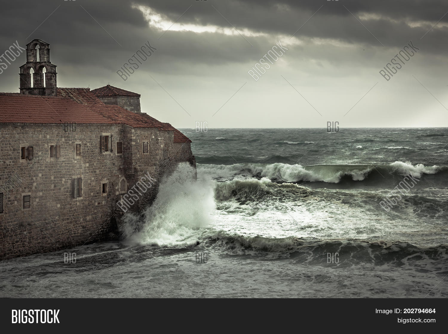 Image Preview