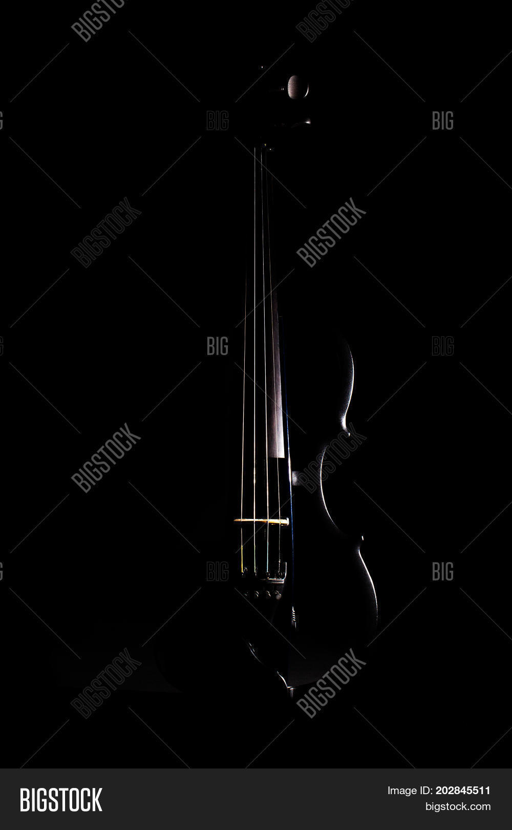 Modern Electric Violin Image & Photo (Free Trial) Bigstock