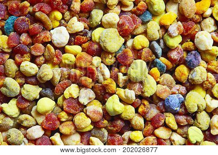 Perga (pollen collected by bees) is spread out evenly